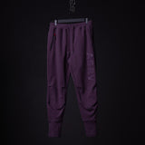 flatlay WN'23 Tech Terry High Rib Jogger in deep purple, front view
